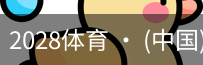 2028体育